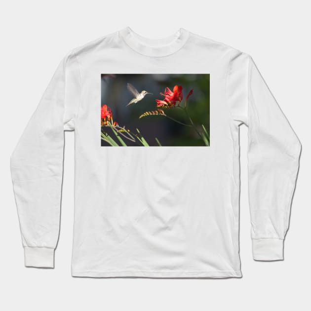 850_5913 Long Sleeve T-Shirt by wgcosby